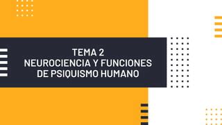 TEMA 2 Pdf Neurociencia Y Funciones De Psiquismo Humano PPT