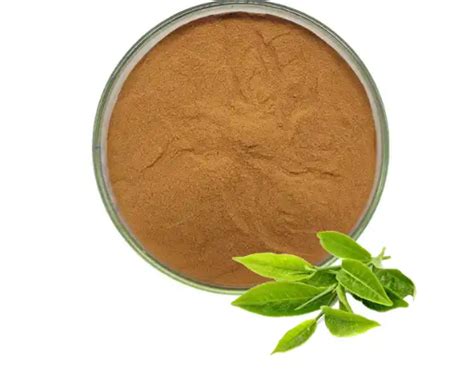 Camellia Sinensis Leaf Extract YSG