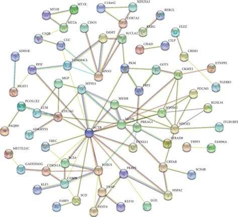 A Protein Protein Interaction Network Analysis Of The Degs B The