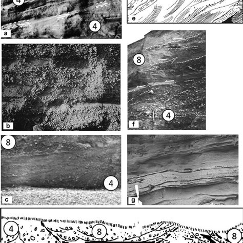 A Representative Selection Of The Sedimentary Logs Used To