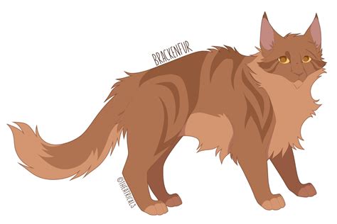 Warrior Cat Designs — Brackenfur Elder Of Thunderclan Every Leaf And