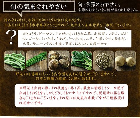 【楽天市場】【送料無料】九州野菜ミニミニお試しセット 花切り大根プレゼント宮崎県の農家採れたて野菜8品でお届け宮崎で摂れた美味しい野菜を