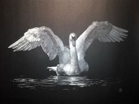 Swan In White Charcoal On Black Paper By Crisbo On Deviantart Black