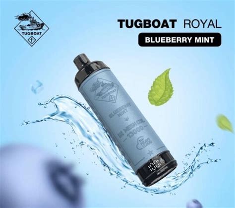 Tugboat Royal Blueberry Mint 13000 Puffs Vape Monkey Dubai