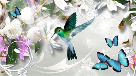 Hummingbird Wallpapers - Wallpaper Cave