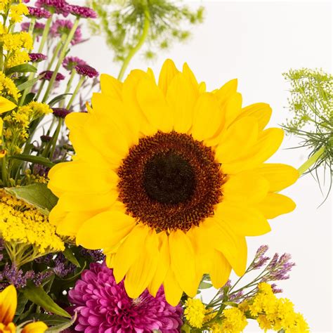 Mazzo Di Fiori Con Girasoli Extra Sunrise Colvin Italia