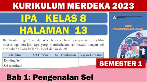 PENGENALAN SEL IPA KELAS 8 HALAMAN 13 SEMESTER 1 KURIKULUM MERDEKA