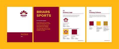 Rebranding Style Guide Case Study Briars Sports Percept