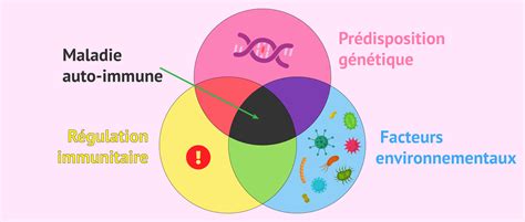 Déclencheurs de maladies auto immunes