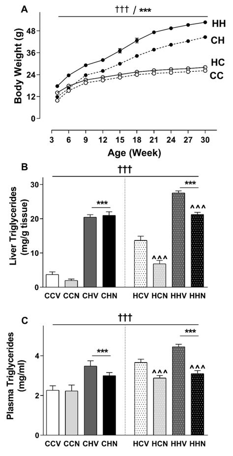 Cells Free Full Text Administration Of Nicotinamide Mononucleotide