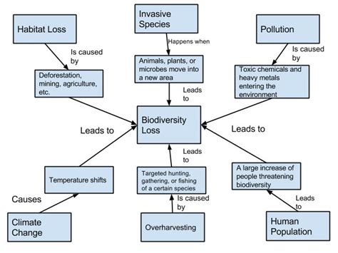 Treats To Biodiversity System Diagram Bls5526 Geog 30 Our Perspectives