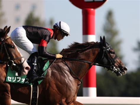 【次走】デビュー2連勝のセリフォスはデイリー杯2歳sから朝日杯fsへ 競馬ニュース