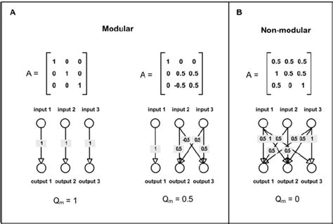 Modularity Of Matrices And Their Corresponding Networks The Nxn Matrix Download Scientific