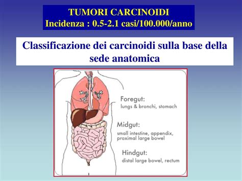 Ppt I Tumori Del Sistema Neuroendocrino Classificazione E Biologia