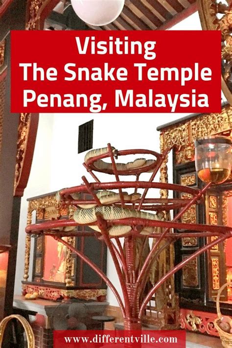 Checking Out the Incredible Snake Temple in Penang - Differentville