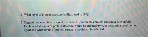 Solved 10. Assume the four amino acid side chains shown | Chegg.com