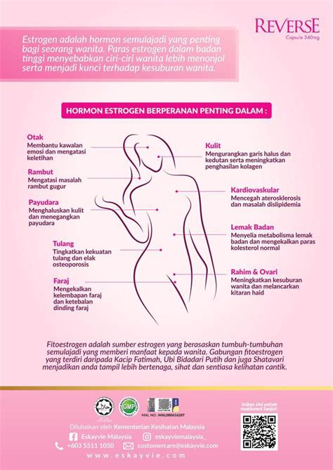 Suplemen Terbaik Untuk Dalaman Wanita Ohcantik