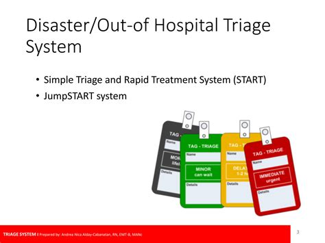 Solution Module 2 Triage System Studypool