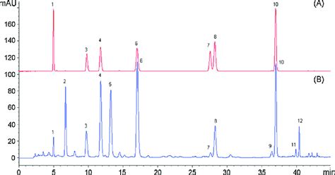 A Chromatogram Of Mixture Standard Compounds 1 Caffeic Acid 3 Download Scientific