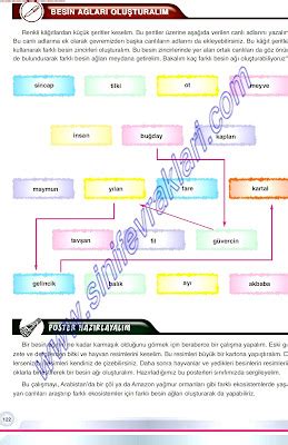 Sinif Fen Ve Teknoloj S Zc Yayinlari Sayfa Sayfa Cevaplari