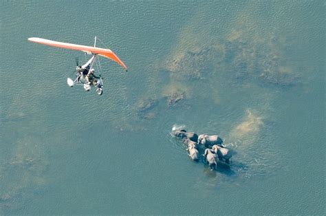 Victoria Falls Scenic Microlight Flight GetYourGuide