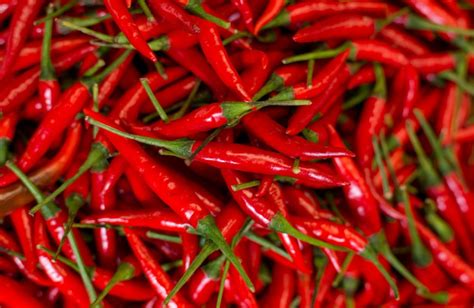 Red Chilli Market Rates In Madhya Pradesh And Maharashtra On 15 March