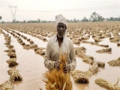 The Farmer Said The Hopes Are Over The Government Should Help