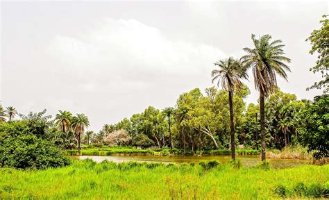 Climate And Geography Of The Ivory Coast Discover Ivorycoast