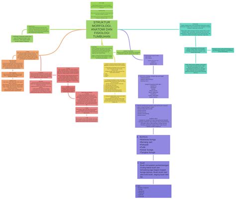 Struktur Morfologi Anatomi Dan Fisiologi Tumbuhan Coggle Diagram