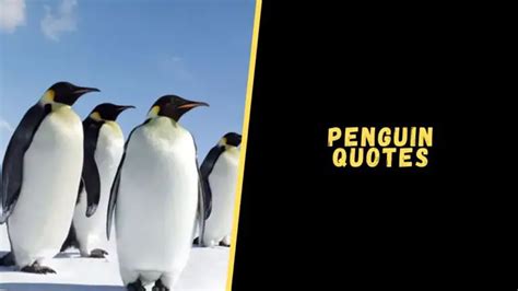 Top 15 Cool Quotes About Penguin That Will Make You Cheerful