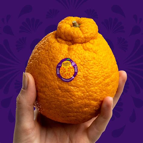 Sumo Citrus 101 The Guide To The Worlds Most Loved Fruit Sumo Citrus