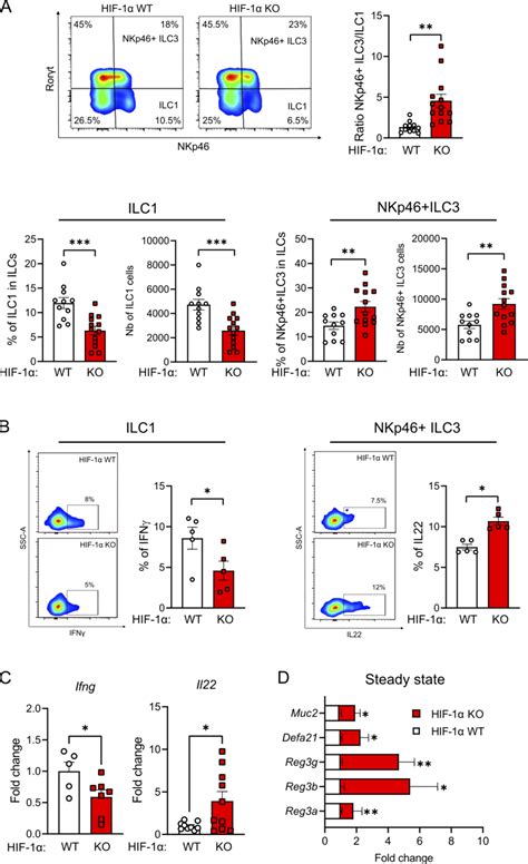 HIF 1α contributes to ILC3 to ILC1 conversion in NKp46 cells in vivo