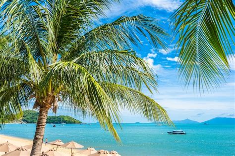 Free Photo Beautiful Tropical Beach Sea And Ocean With Coconut Palm