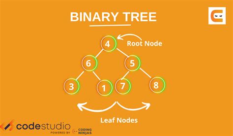 Binary Tree Naukri Code 360