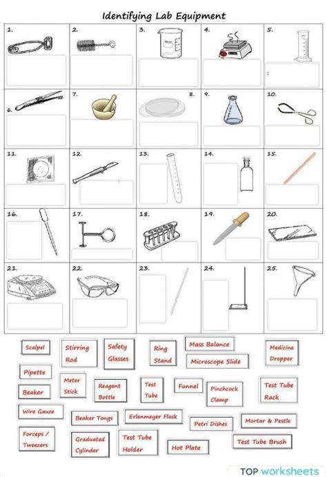 Identifying Lab Equipment Interactive Worksheet Topworksheets