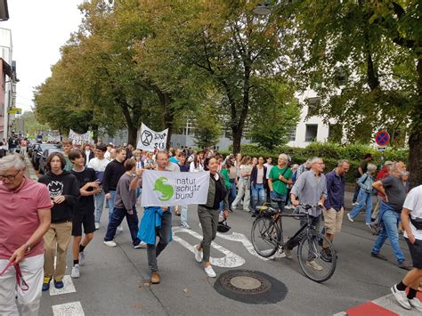 Fff Klimastreik Weltweit Und In Bregenz Naturschutzbund Sterreich