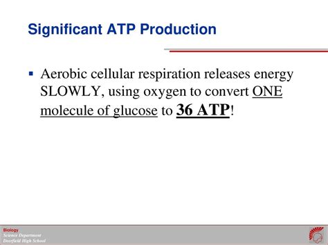 LEC Energy Transformations In Living Organisms Cellular Respiration