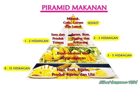 Piramid Makanan