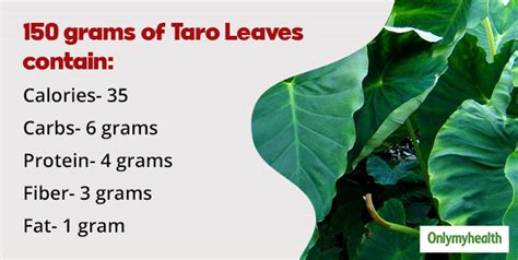 Taro Leaves: Nutritional Facts Of This Low-Calorie Green Leafy Veggie ...