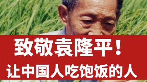 致敬袁隆平！让中国人吃饱饭的人哔哩哔哩bilibili