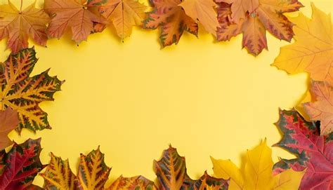 Premium AI Image | Autumn background autumn leaves on a yellow background