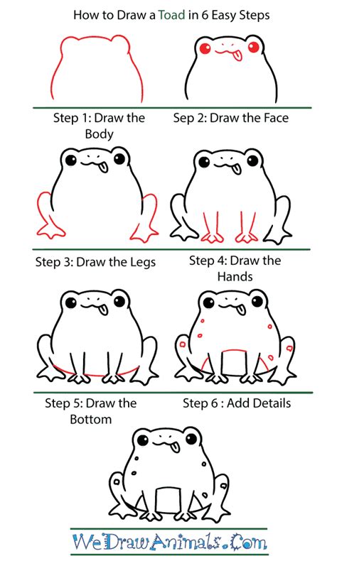 How To Draw A Cute Toad