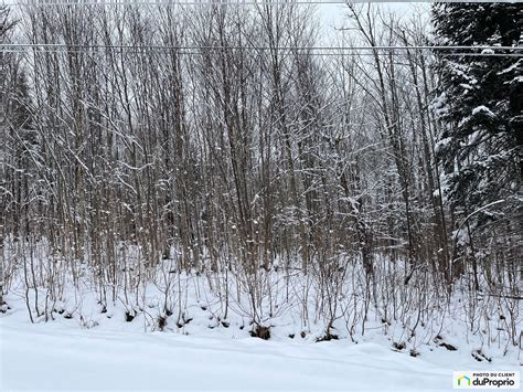 Terrain résidentiel à vendre Notre Dame Des Bois 1061965