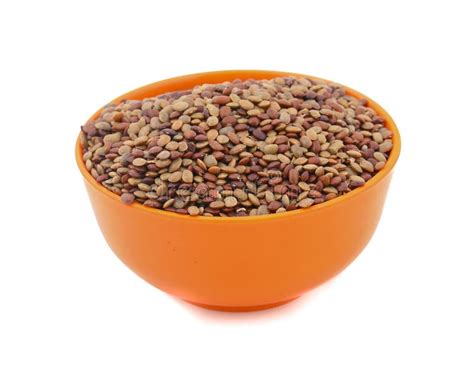 Red Lentil Seeds Stock Image Image Of Food Pulse Cotyledons