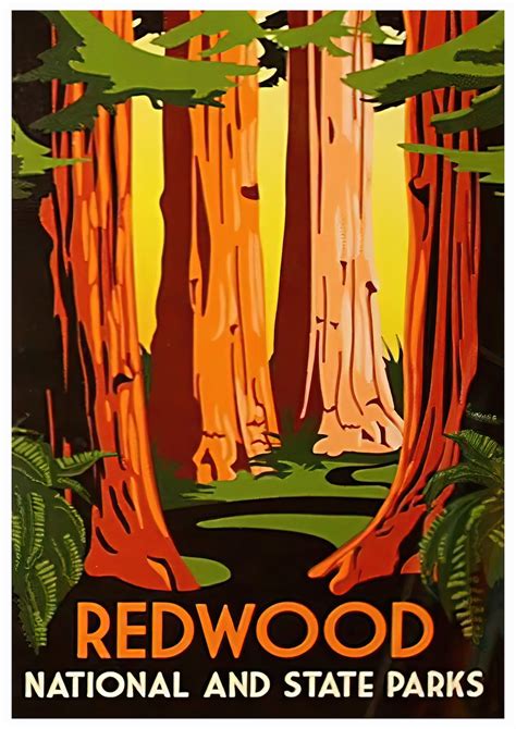 Redwood National State Parks California Travel Poster Instant Etsy