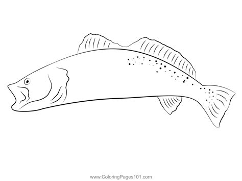 Browm Trout Coloring Page For Kids Free Trouts Printable Coloring