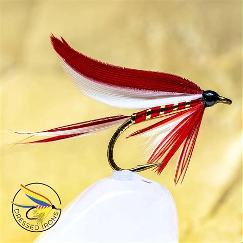 Tying Video The Ibis And White Dressed Irons