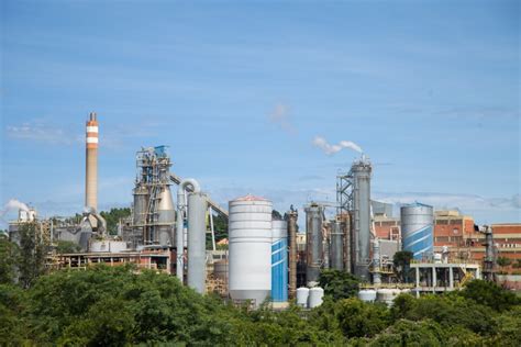 Suzano Papel E Celulose Vagas