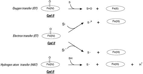 Molecules Free Full Text Immobilized Lignin Peroxidase Like