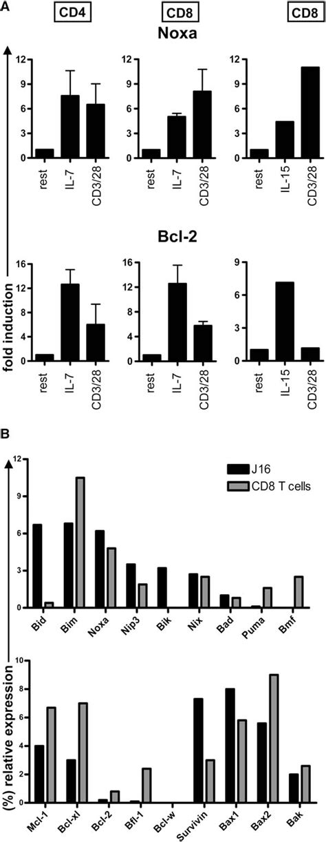 The Noxa Mcl Axis Regulates Susceptibility To Apoptosis Under Glucose